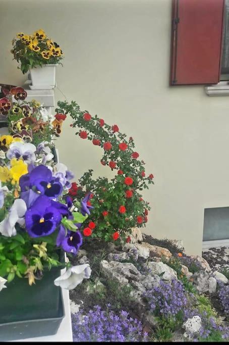 Villa Ama Порденоне Екстериор снимка