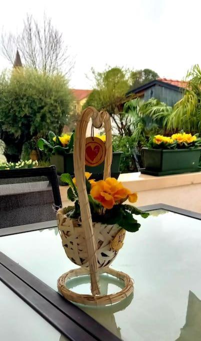 Villa Ama Порденоне Екстериор снимка