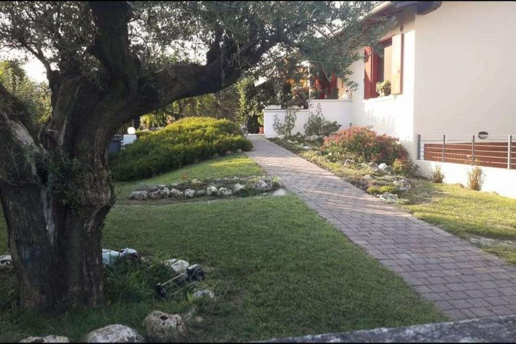 Villa Ama Порденоне Екстериор снимка